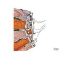  Paracadute Ancore Galleggianti Para-Anchor Sea Guardians