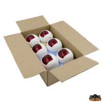 Fanali di via alogeni Orsa Minore 12V Bulk 12 pz Cablati