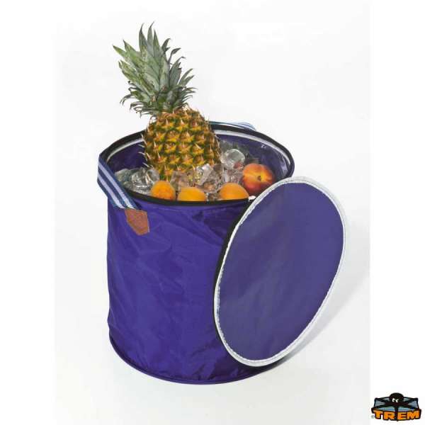 Ghiacciaia portavivande