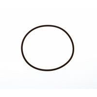Guarnizione O-ring