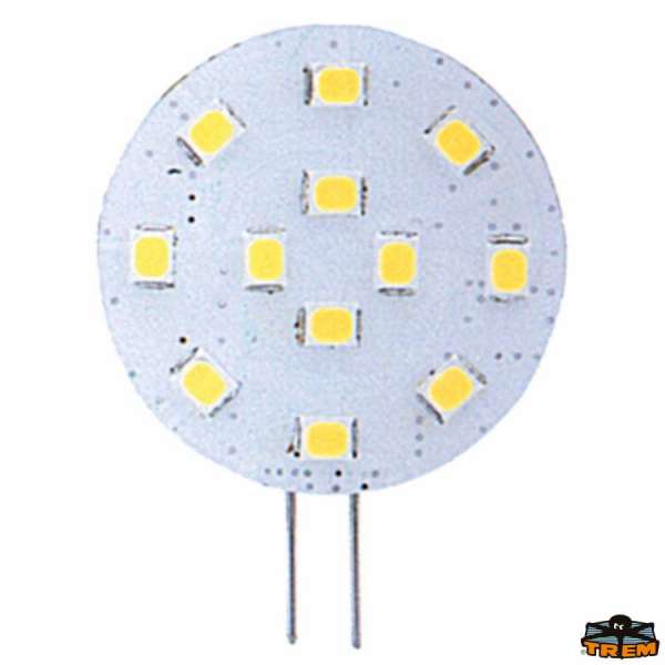 Lampadine a 12 LED SMD