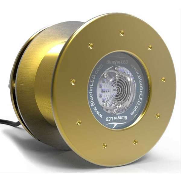 LED subacquei Great White GW16 IFM Bluefin