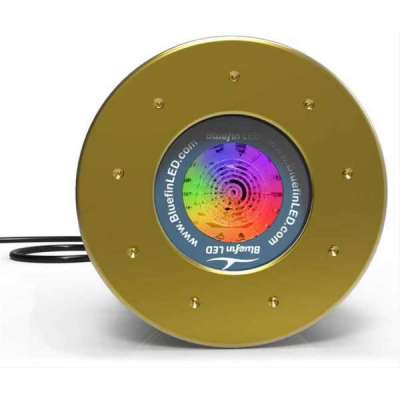 LED subacquei Great White GW20 IFM Bluefin