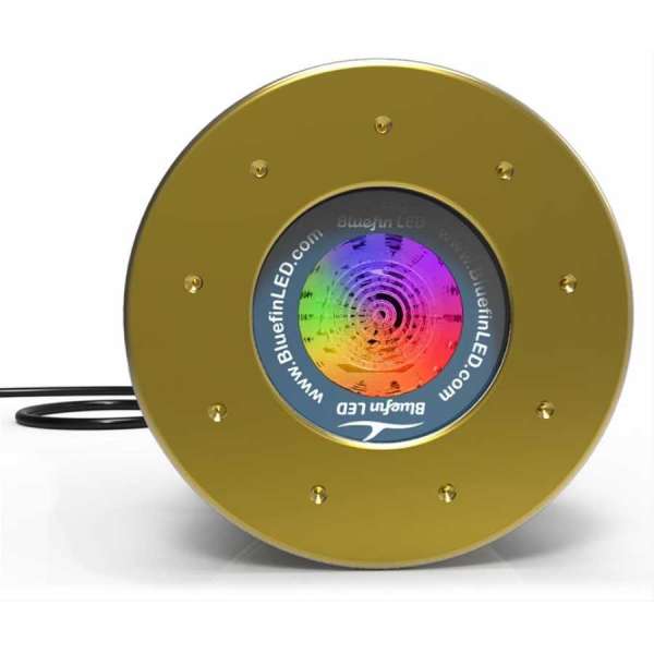 LED subacquei Great White GW20 IFM Bluefin