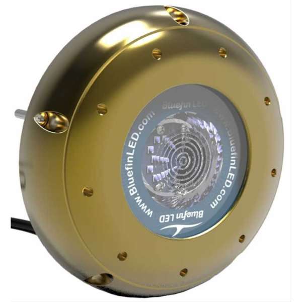 LED subacquei Hammerhead H16 SM Bluefin