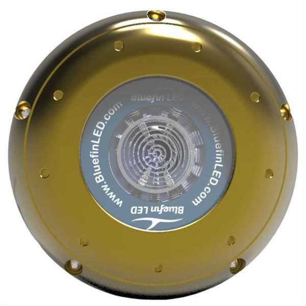 LED subacquei Hammerhead H20 Bluefin