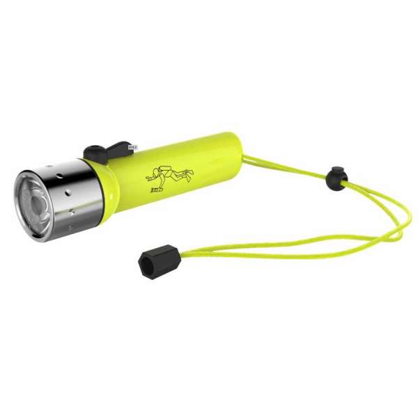 Ledlenser D14.2 torcia sub tascabile