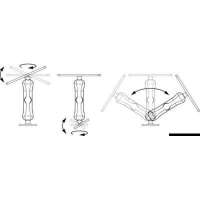 Portastrumenti universale