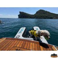 Rampa cani gonfiabile T-WAVE