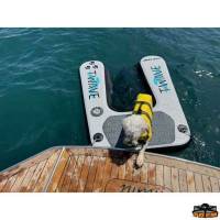 Rampa cani gonfiabile T-WAVE