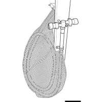 Sacca WHALE per alloggiamento tubo doccia