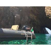 Scaletta a sgancio rapido per gommoni