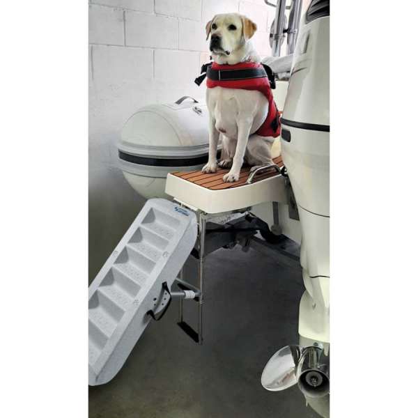 Scaletta per cani Paws Up by Osculati